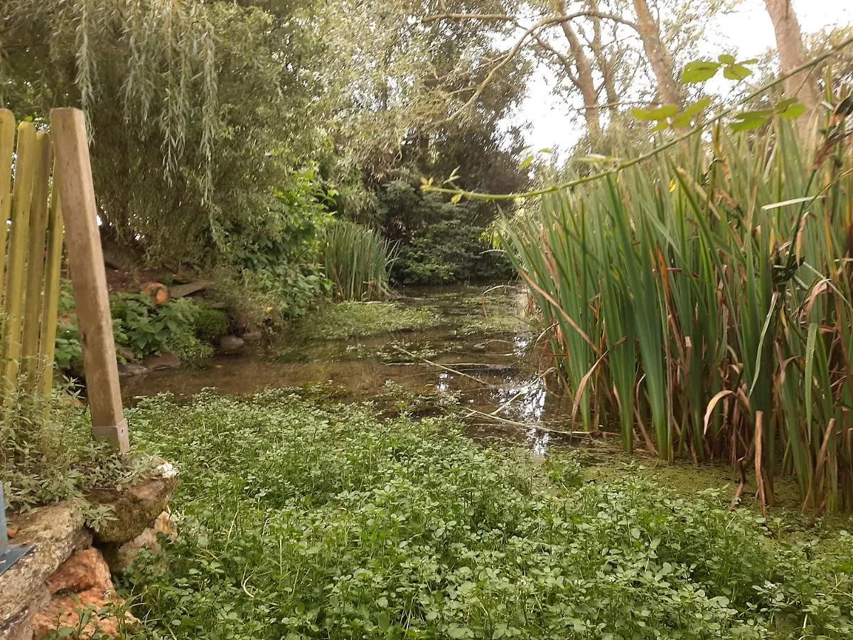 Holiday home La Maison Des Lavandieres Le Conquet France